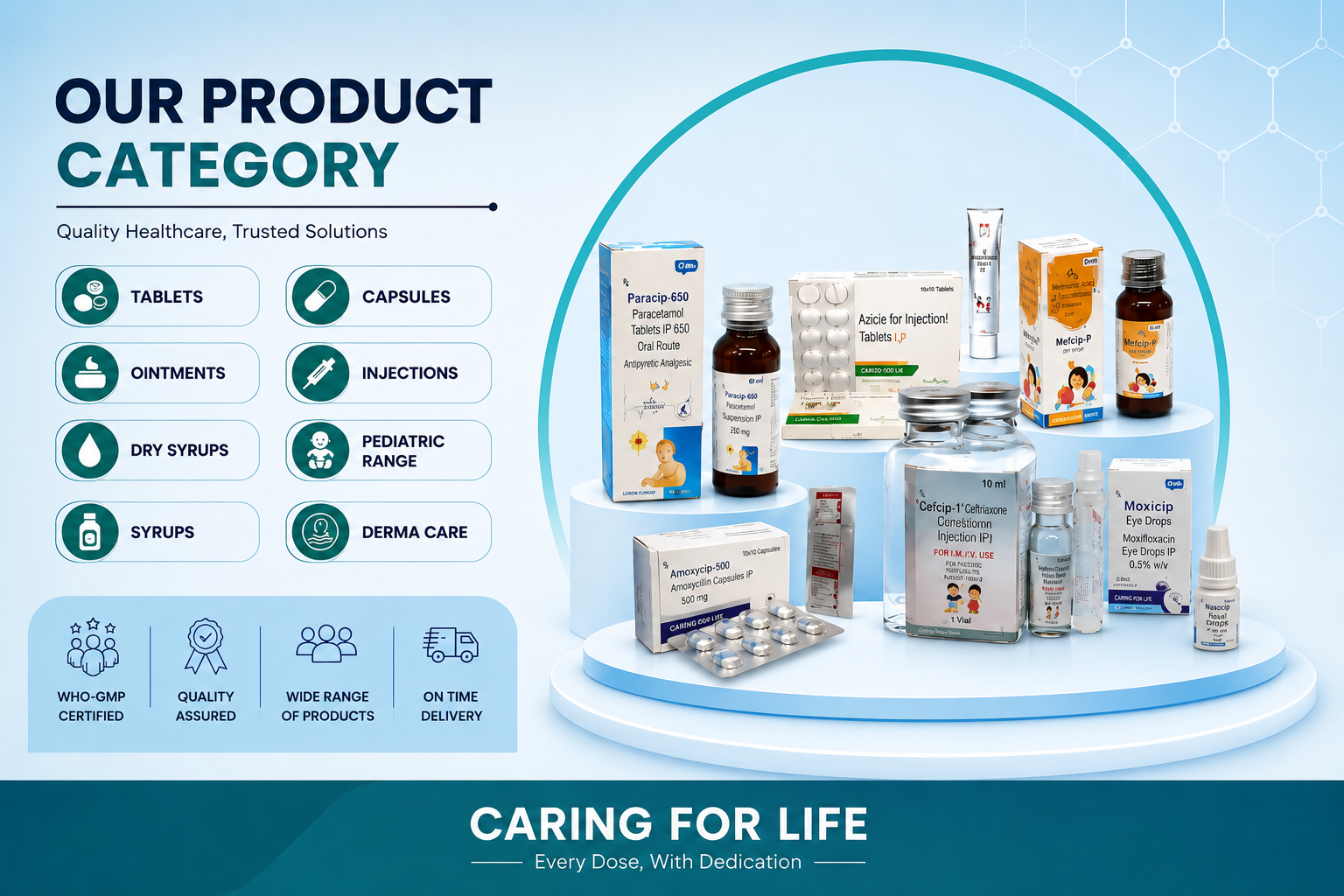 Our Product Category